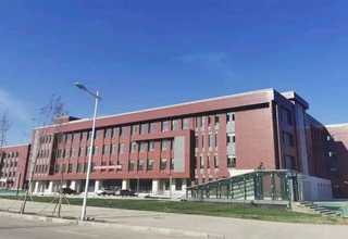 广州野野村氏菌菌株