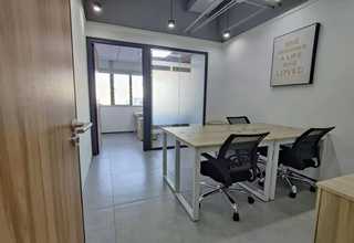 酒泉蝴蝶兰花语